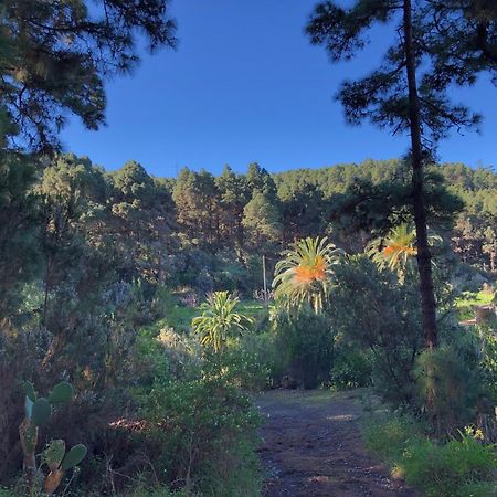Monte Frio De Tenerife La Guancha エクステリア 写真