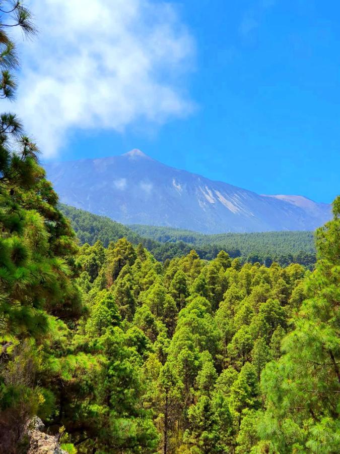 Monte Frio De Tenerife La Guancha エクステリア 写真
