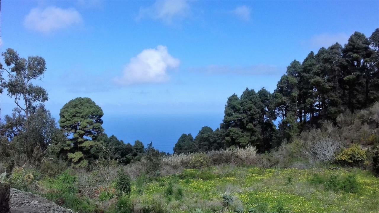 Monte Frio De Tenerife La Guancha エクステリア 写真