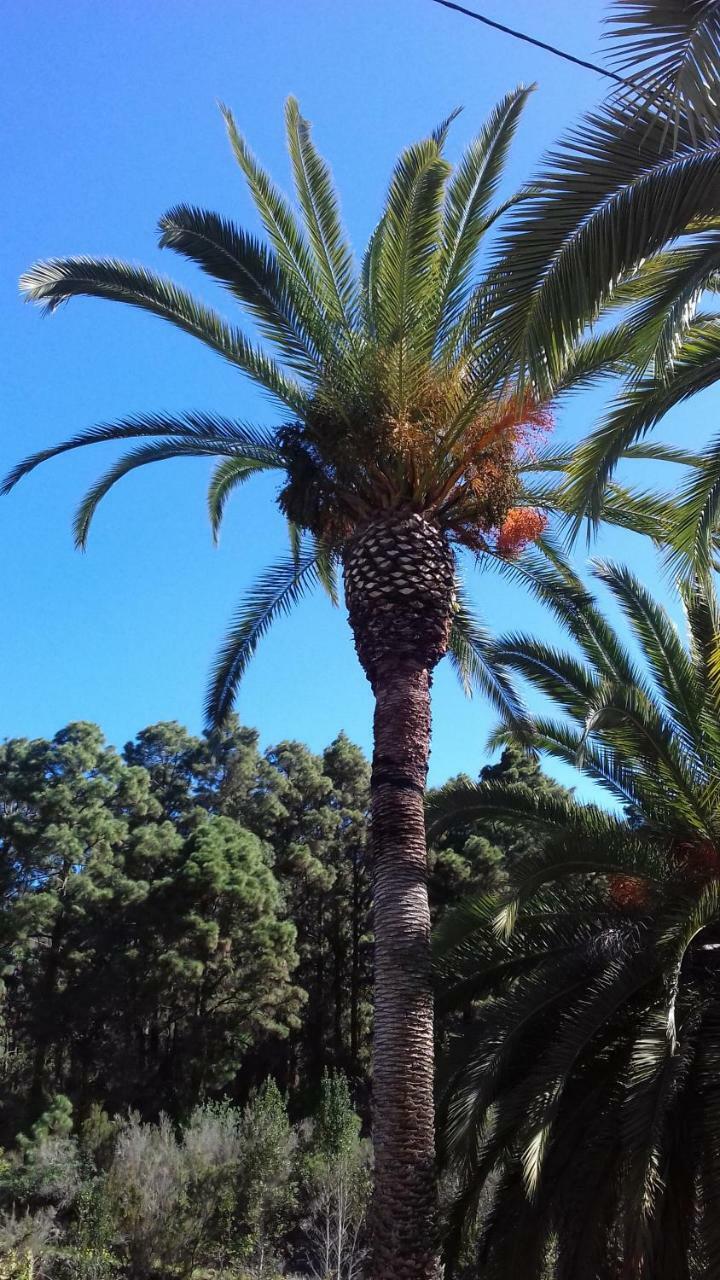 Monte Frio De Tenerife La Guancha エクステリア 写真